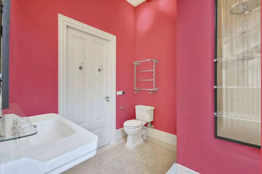 Sherwin Williams Zany Pink bathroom