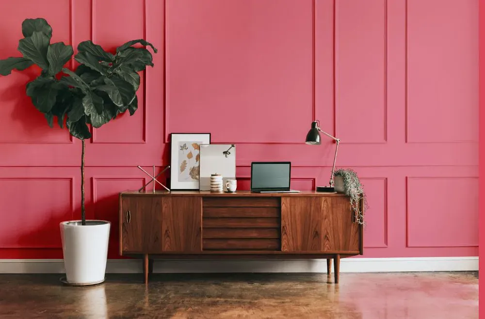 Sherwin Williams Zany Pink modern interior