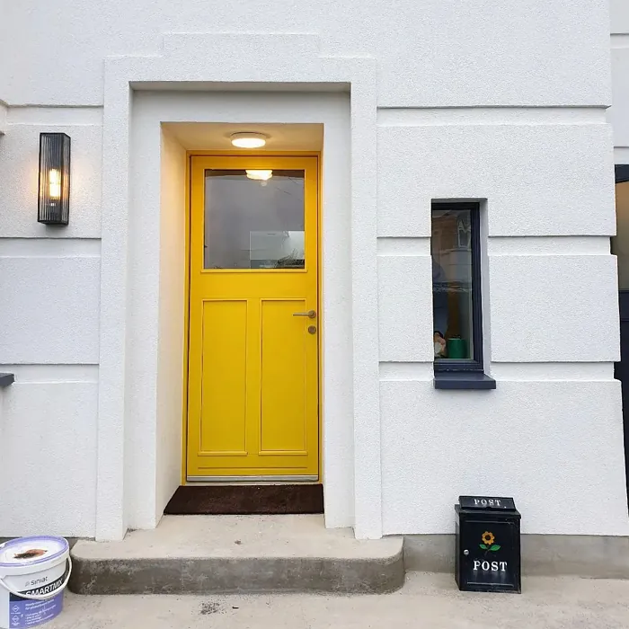 Zinc yellow RAL 1018 outdoor door