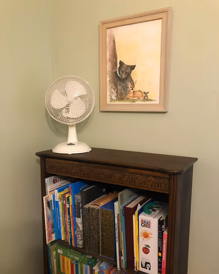 SW Acanthus wall paint