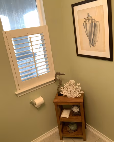 SW 0029 bathroom color review