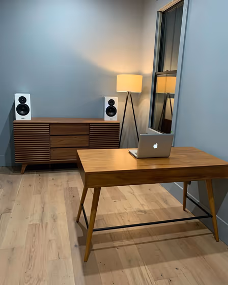 SW African Gray home office