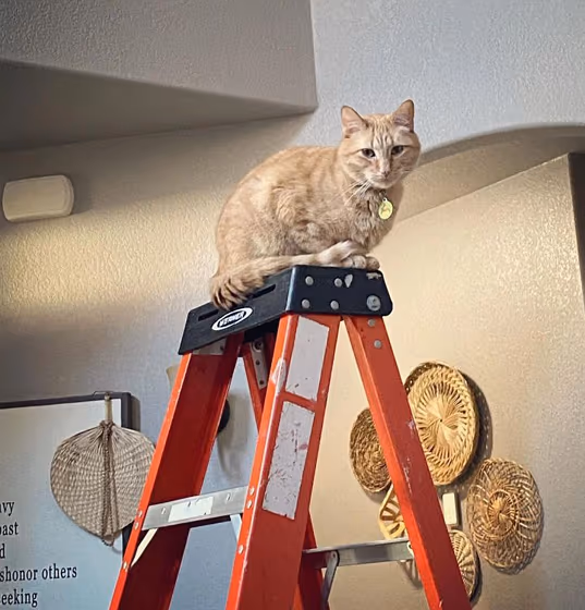 Amazing Gray Living Room