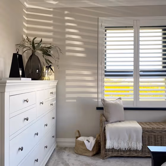 Ammonite bedroom paint review