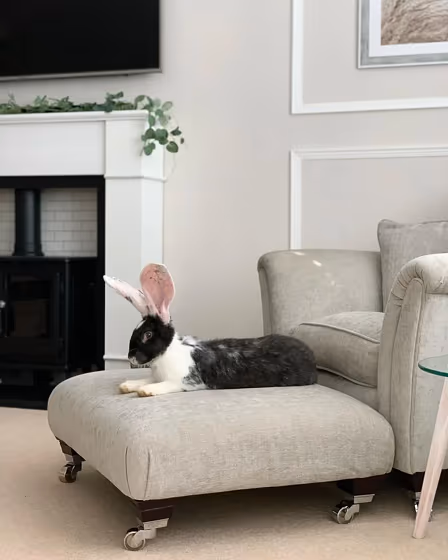 Farrow and Ball 274 living room fireplace color