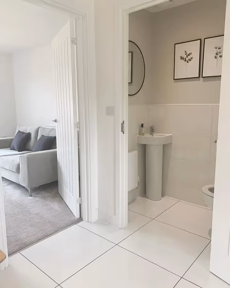 Ammonite bathroom paint