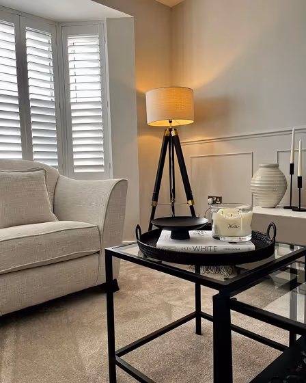 Farrow and Ball Ammonite living room color review