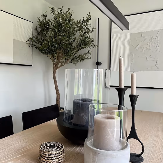 Ammonite dining room paint