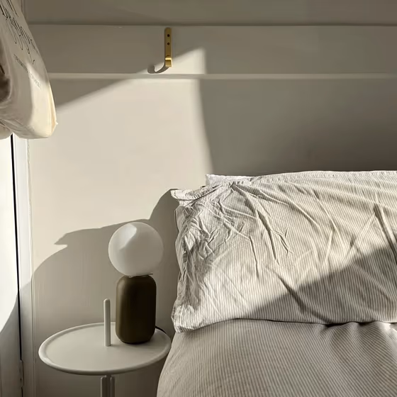 Farrow and Ball Ammonite bedroom color review