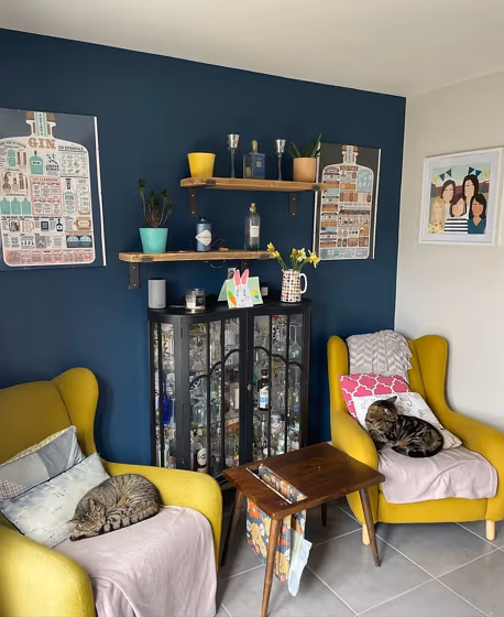 Ammonite living room picture