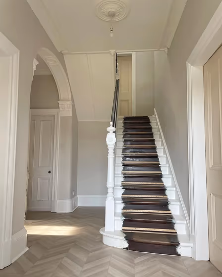 Ammonite stairs paint