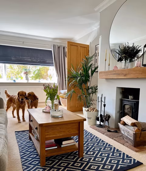 Ammonite living room fireplace picture