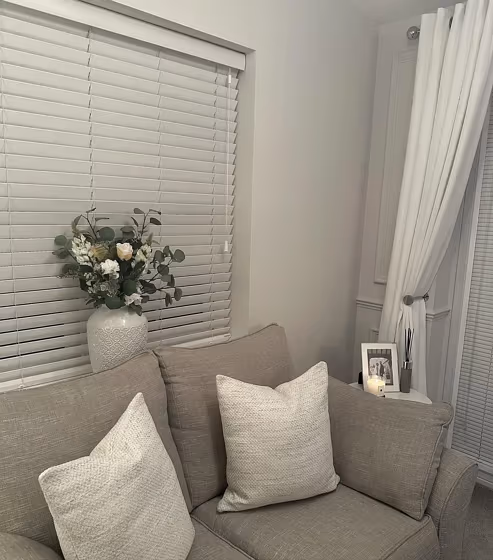 Farrow and Ball Ammonite living room paint