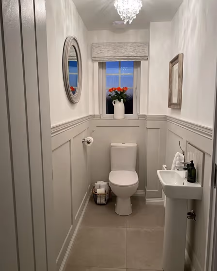 Farrow and Ball 274 bathroom paint review