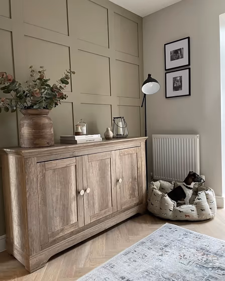 Farrow and Ball Ammonite living room photo