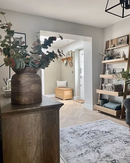 Farrow and Ball Ammonite living room paint