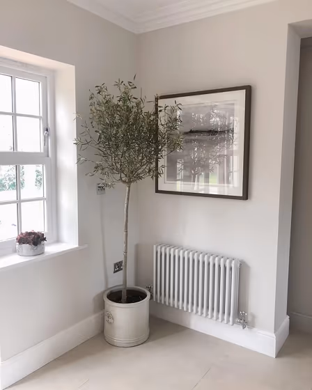 Farrow and Ball Ammonite living room paint review