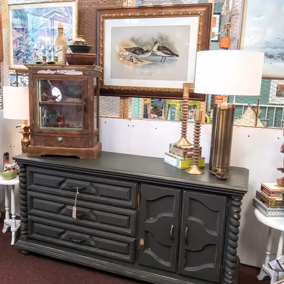 SW Andiron painted furniture color