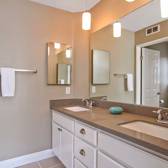 Sherwin Williams Anew Gray Bathroom