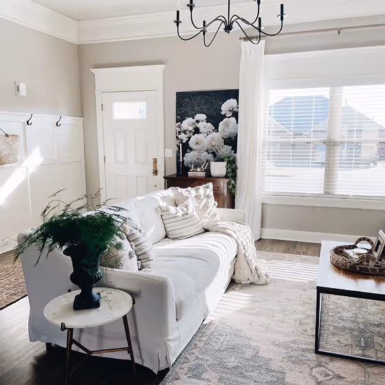 Sherwin Williams Anew Gray cozy living room