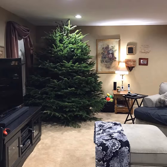 At Ease Soldier Wall Paint