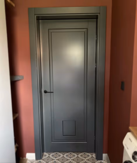 RAL Classic Basalt grey RAL 7012 painted door