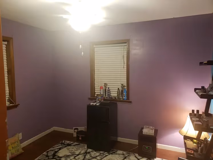 Ancestry Violet wall paint review