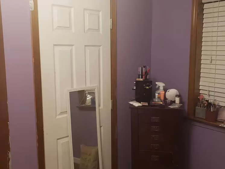 Behr Ancestry Violet wall paint review