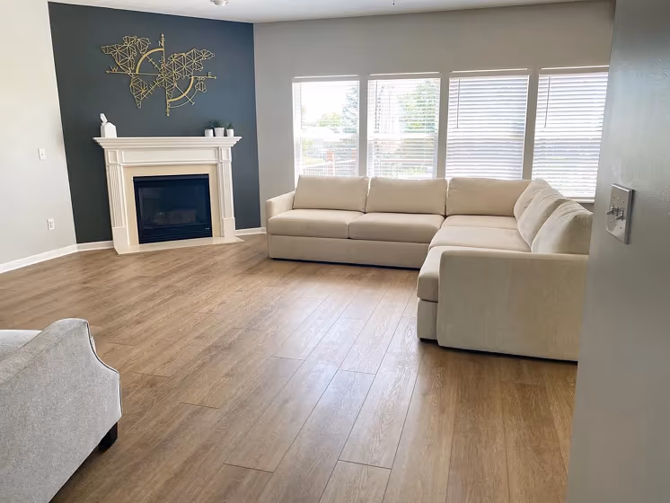 Behr Black Locust living room accent wall