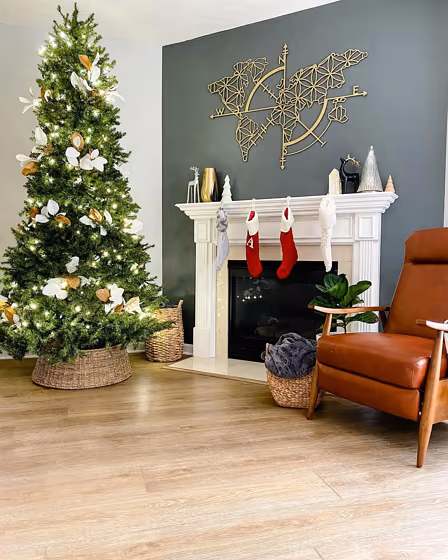 Behr Black Locust living room paint review