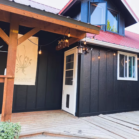 Behr Blackout exterior paint review