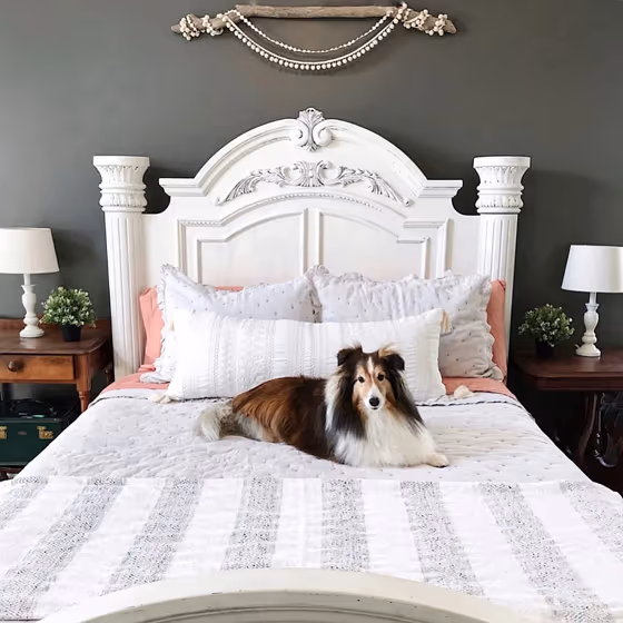 Behr Burnished Pewter bedroom color