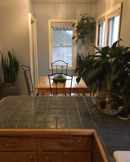 Behr Silver Mine wall paint