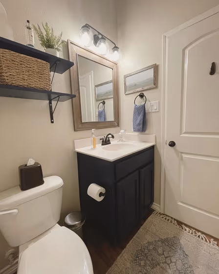 Behr White Veil bathroom color