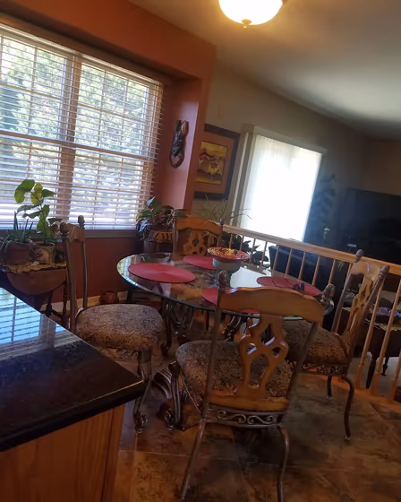 Benjamin Moore Audubon Russet Dining Room