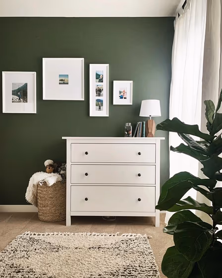Green accent wall Benjamin Moore Backwoods