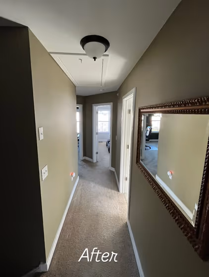 Benjamin Moore Bed of Ferns hallway paint review