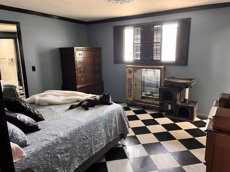 Benjamin Moore Blue Dusk bedroom interior