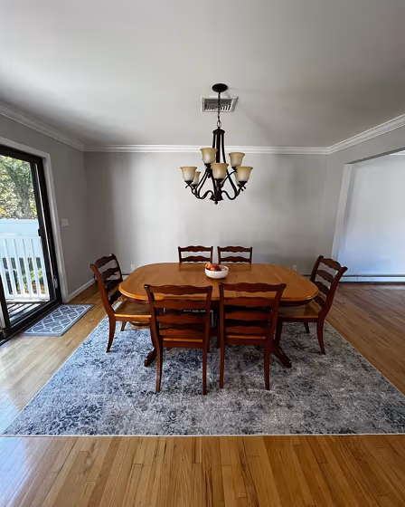 Benjamin Moore Bunny Gray living room paint review