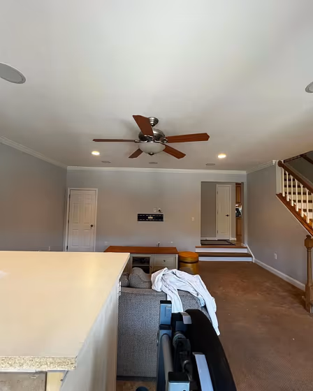 Bunny Gray living room color review