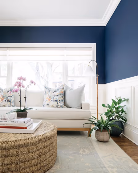 Deep Royal Living Room