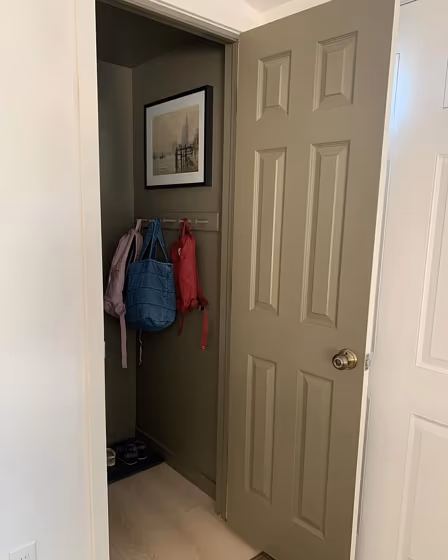 Benjamin Moore Devonshire Green door color