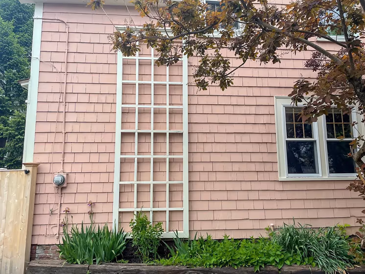 Monticello Rose exterior color