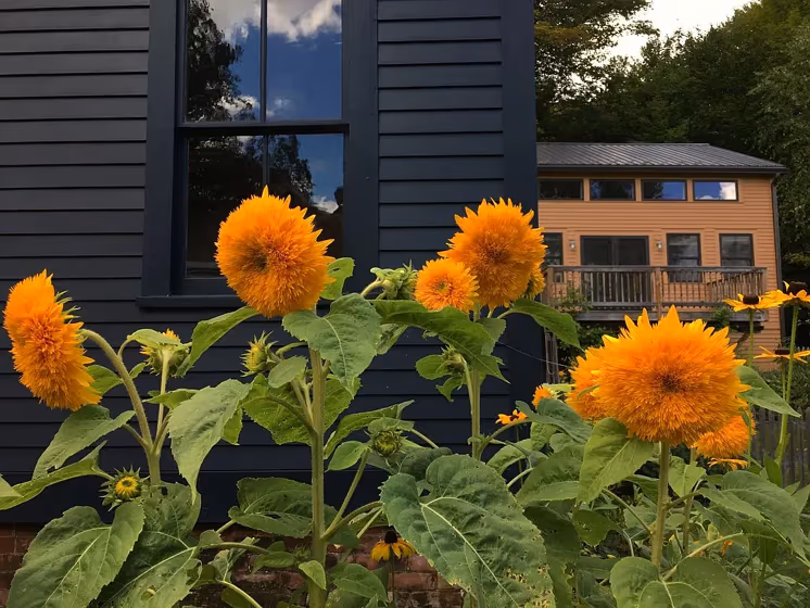 Benjamin Moore 2062-10 house exterior color