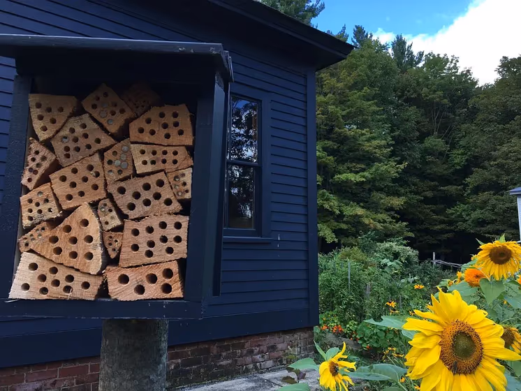 Benjamin Moore Polo Blue house exterior paint