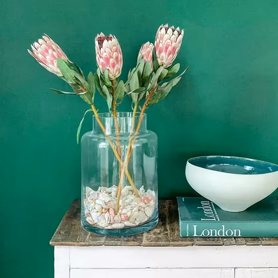 Benjamin Moore Rainforest Foliage wall paint