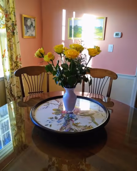 Benjamin Moore Salmon Run wall paint