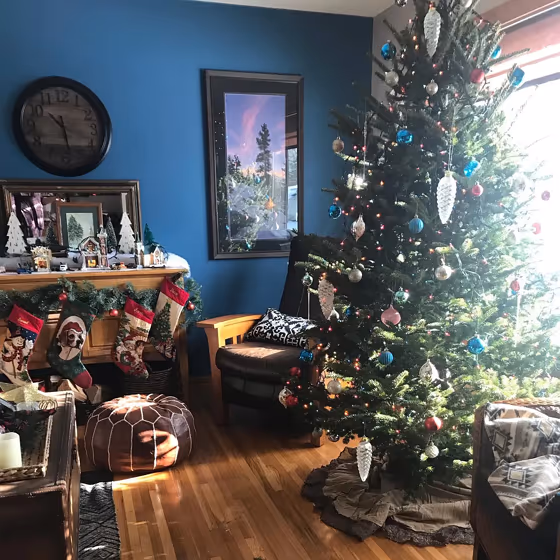 Benjamin Moore Santa Monica Blue living room interior