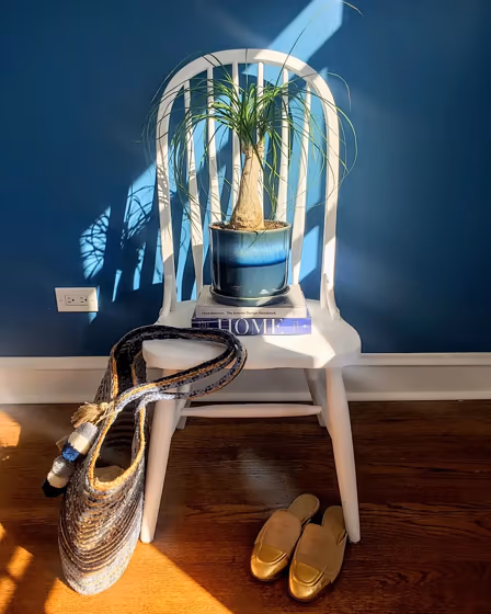 Benjamin Moore Santa Monica Blue living room paint