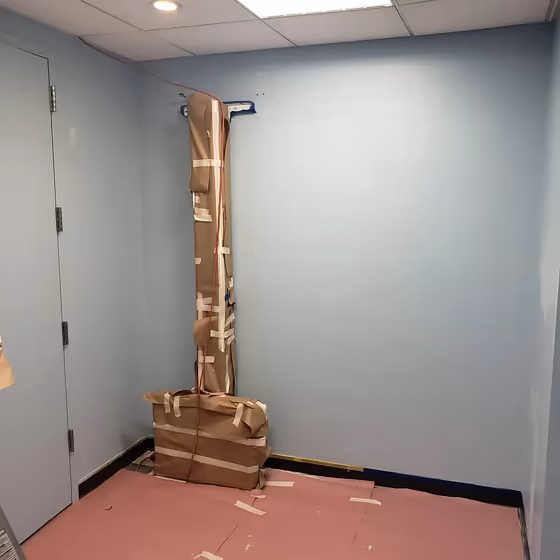 Benjamin Moore Sheer Romance wall paint color